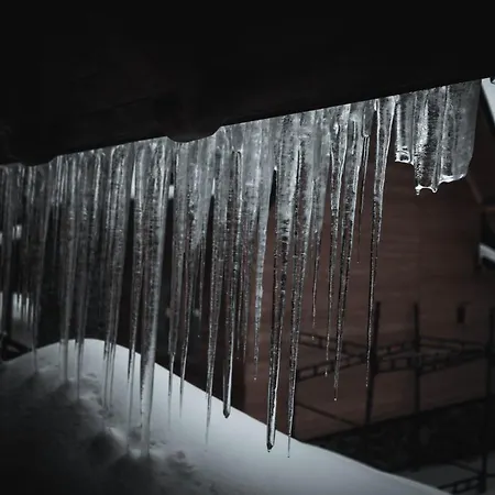 Natasa * זלאטיבור