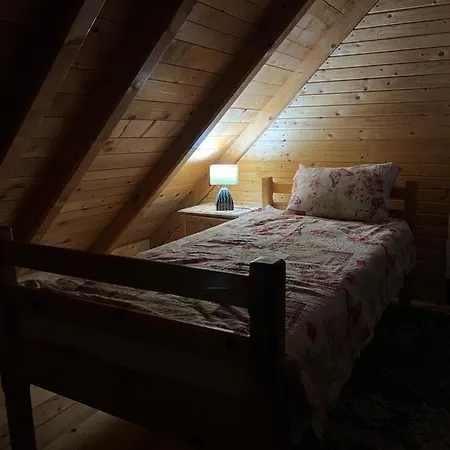 Natasa זלאטיבור